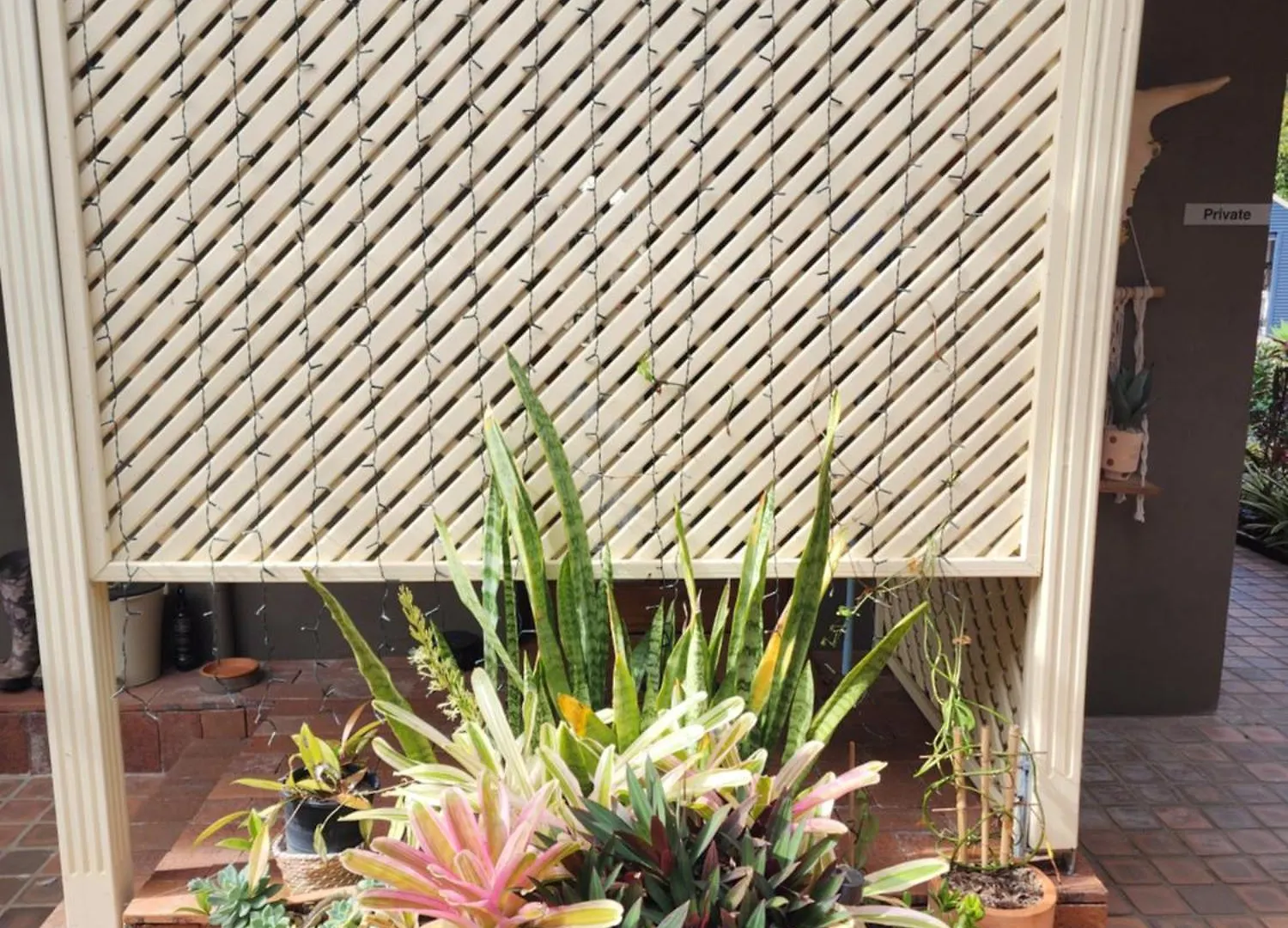 Villa Rosa Mooloolah Bed & Breakfast